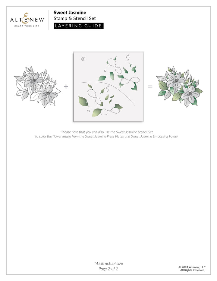 Sweet Jasmine Simple Coloring Stencil Set (3 in 1)