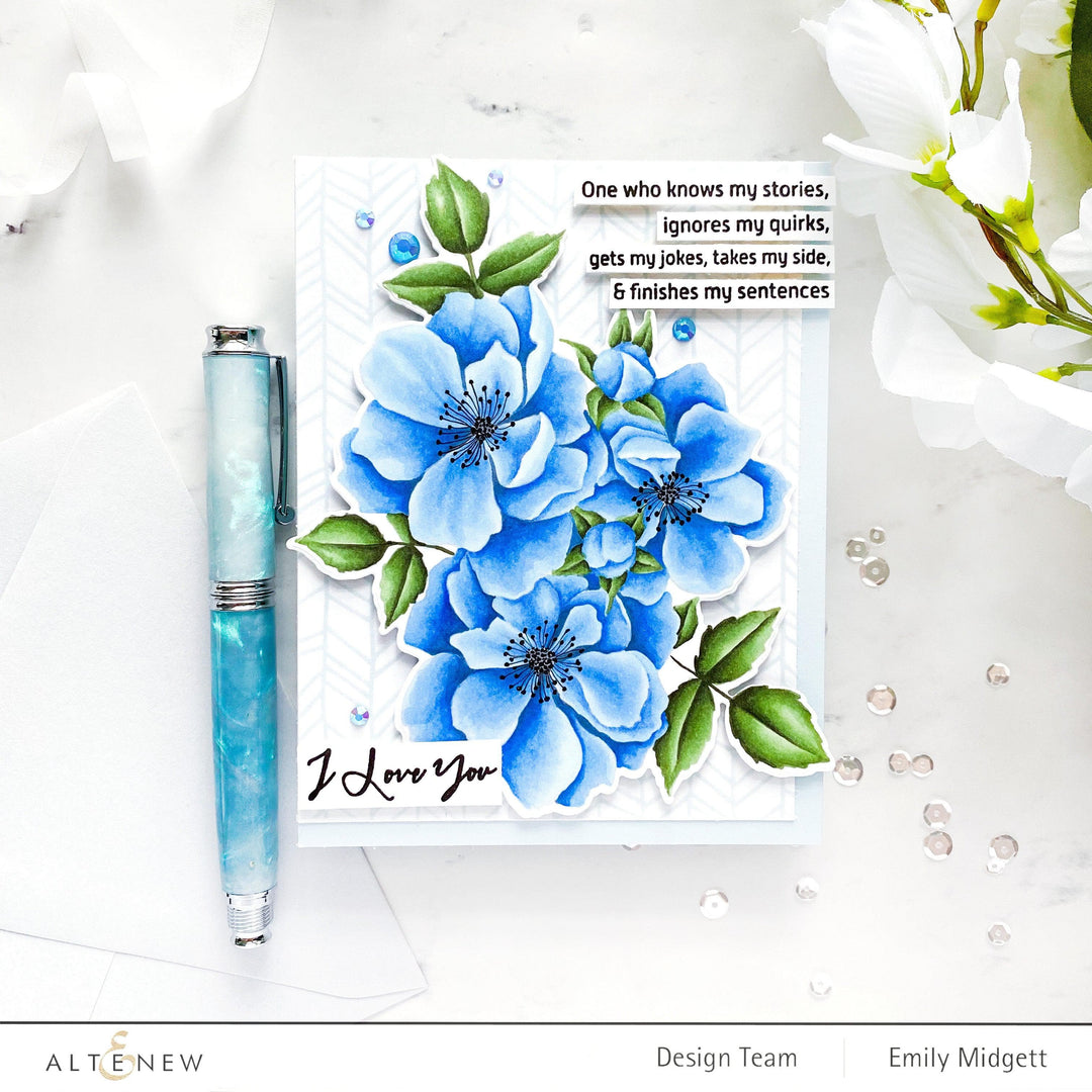 EXP Factors Stencil Fairy Tale Florals Simple Coloring Stencil Set (2 in 1)