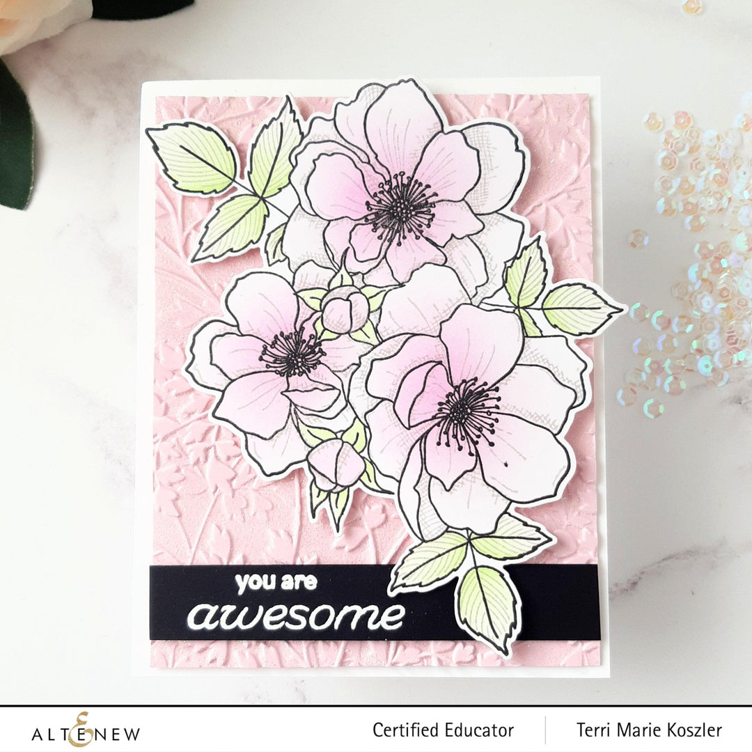 EXP Factors Stencil Fairy Tale Florals Simple Coloring Stencil Set (2 in 1)