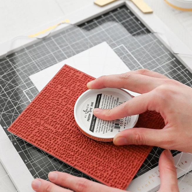 Altenew Next-Level Stamping Starter Bundle with various stamping tools and accessories for crafting and card-making projects.