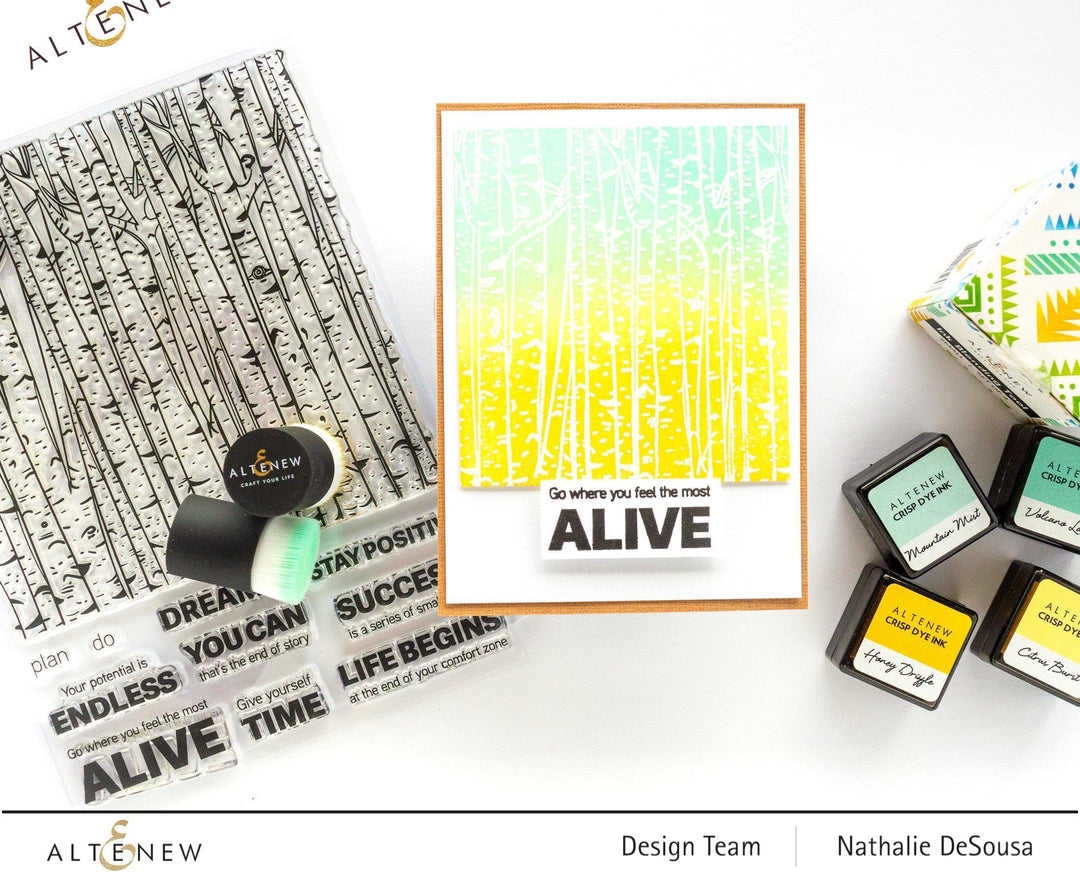 Shenzhen Gracedo Makeup-accessories Co. Tools Ink Blending Brushes - Small (Set of 4)