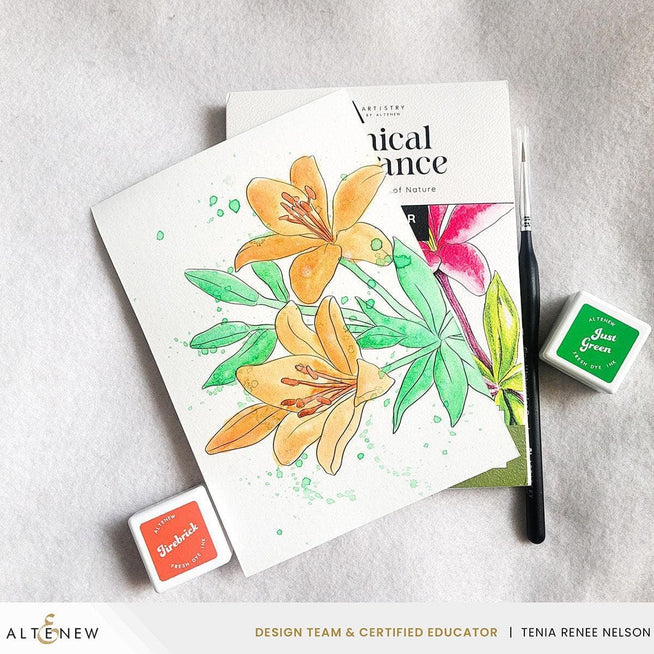 Altenew Nature’s Palette watercolor and coloring book set featuring artistic nature-themed illustrations and vibrant watercolor pages.