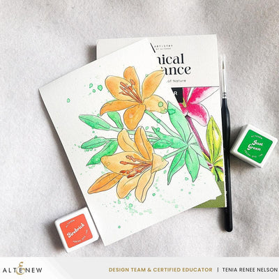 Nature’s Palette Watercolor & Coloring Book Set