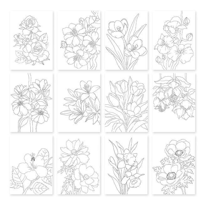 Altenew Nature’s Palette watercolor and coloring book set featuring nature-inspired designs and vibrant watercolor pages.