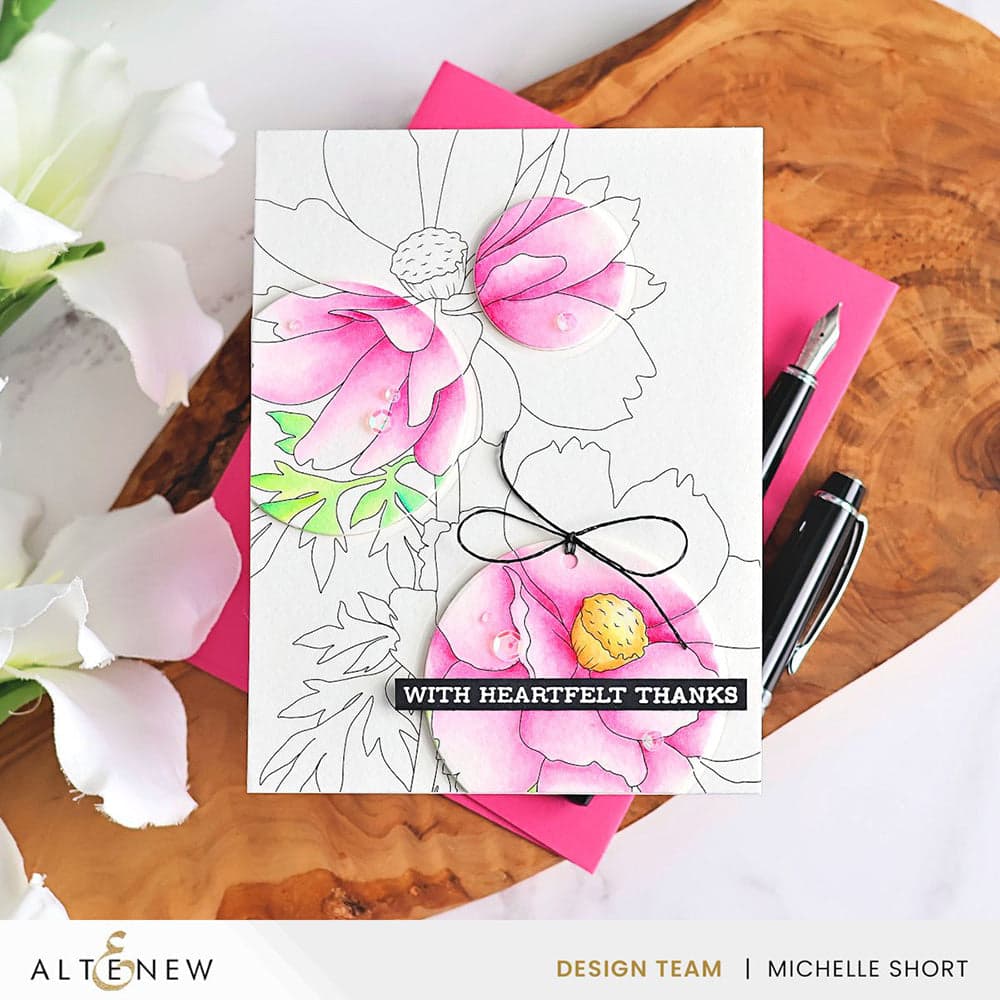 Nature’s Palette Watercolor & Coloring Book Set