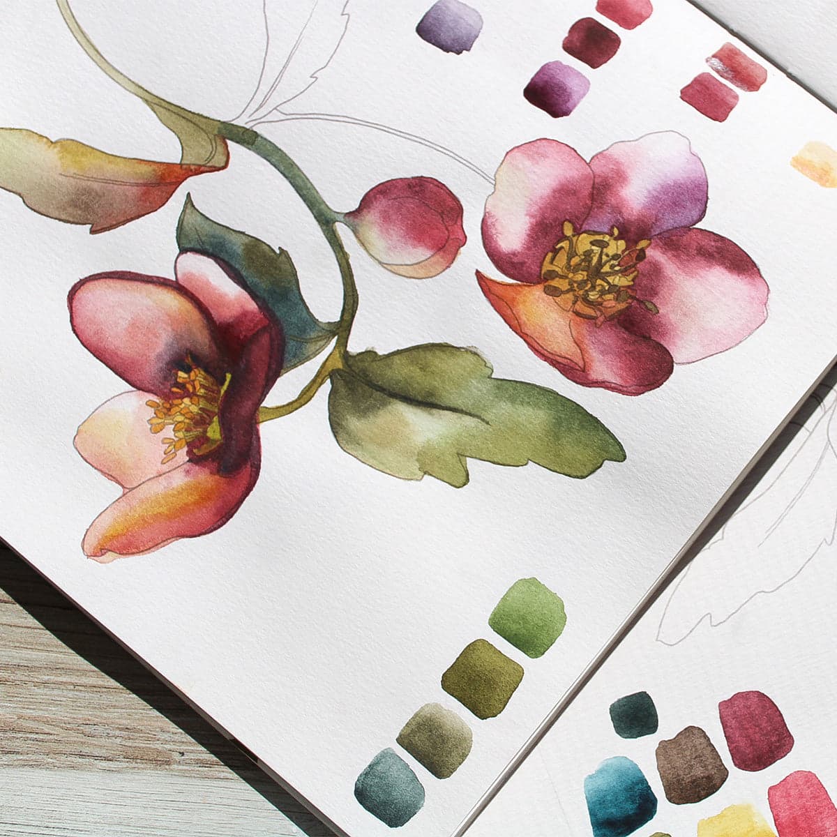 Watercolor Compact - Deep Muse