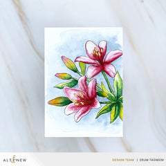 Watercolor Compact - Moody Brights