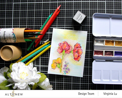 Shangzhi Pearl Pen Industry Co.,Ltd Watercolor Woodless Watercolor Pencil 24 Set