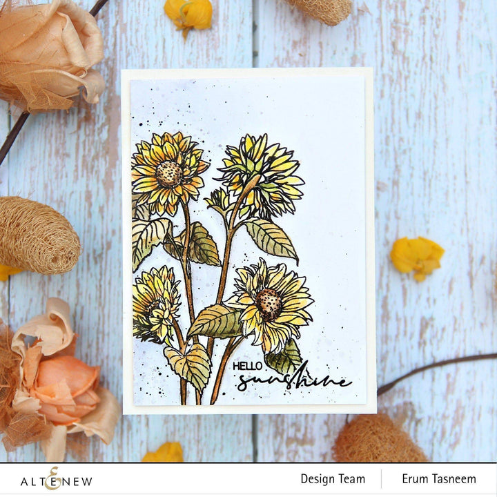 Shangzhi Pearl Pen Industry Co.,Ltd Watercolor Woodless Watercolor Pencil 24 Set