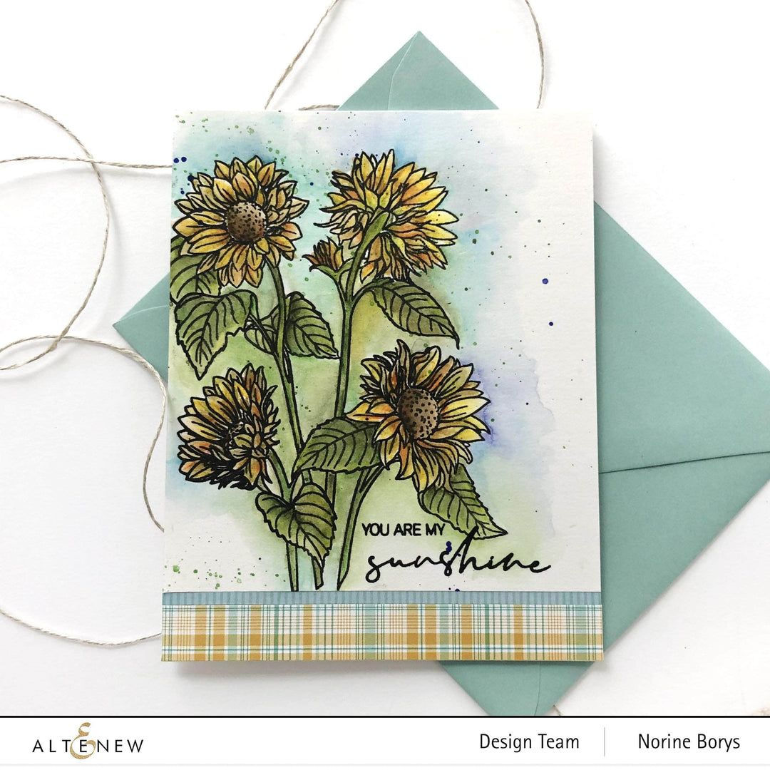 Shangzhi Pearl Pen Industry Co.,Ltd Watercolor Woodless Watercolor Pencil 24 Set