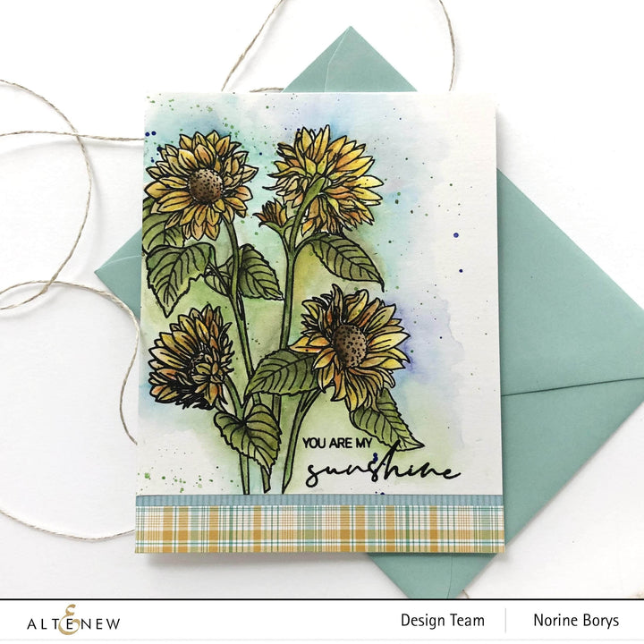 Shangzhi Pearl Pen Industry Co.,Ltd Watercolor Woodless Watercolor Pencil 24 Set