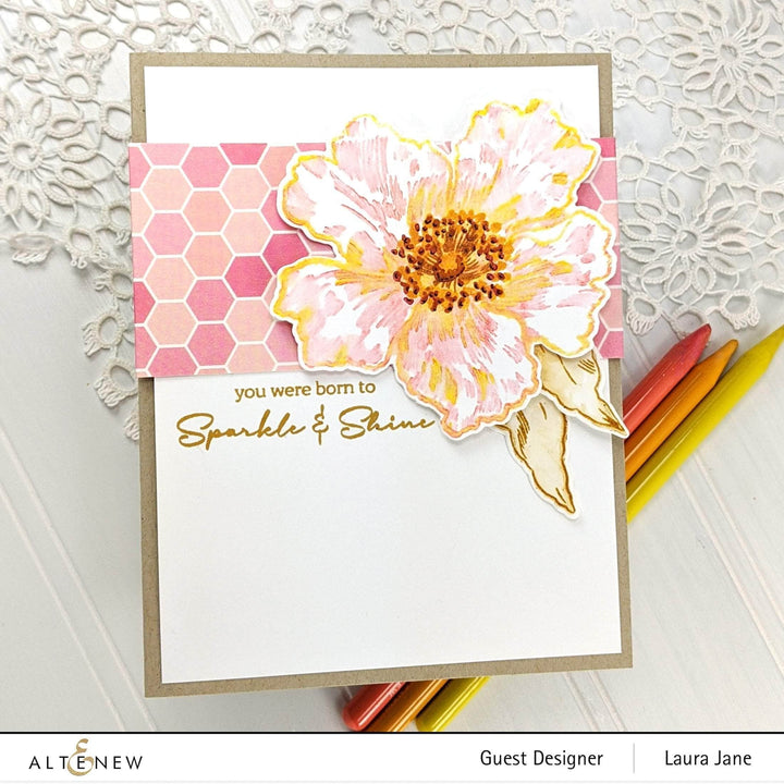 Shangzhi Pearl Pen Industry Co.,Ltd Watercolor Woodless Watercolor Pencil 24 Set