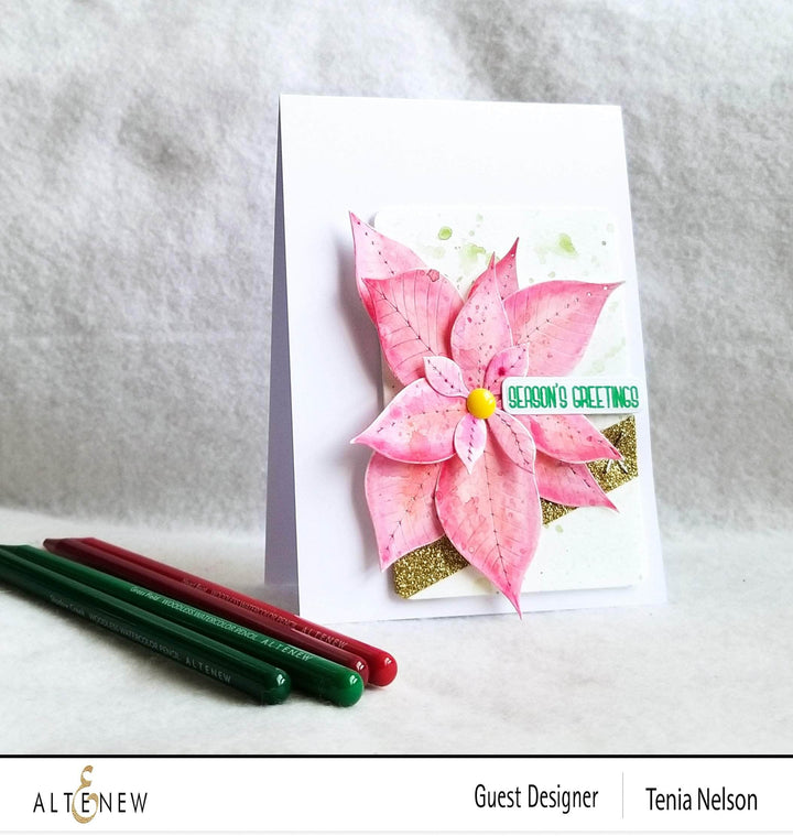 Shangzhi Pearl Pen Industry Co.,Ltd Watercolor Woodless Watercolor Pencil 24 Set