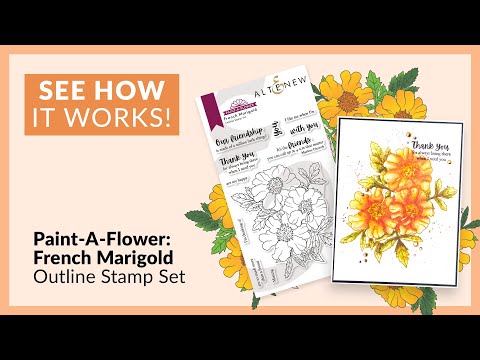 Paint-A-Flower: French Marigold Outline Stamp Set