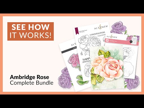 Ambridge Rose Stamp Set