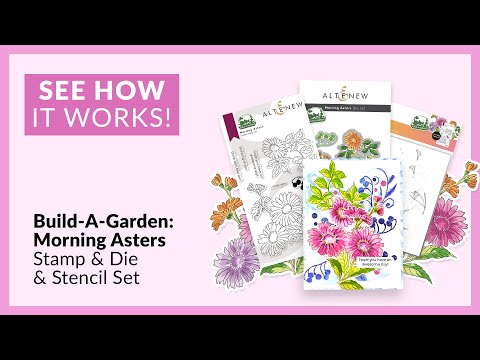Build-A-Garden: Morning Asters